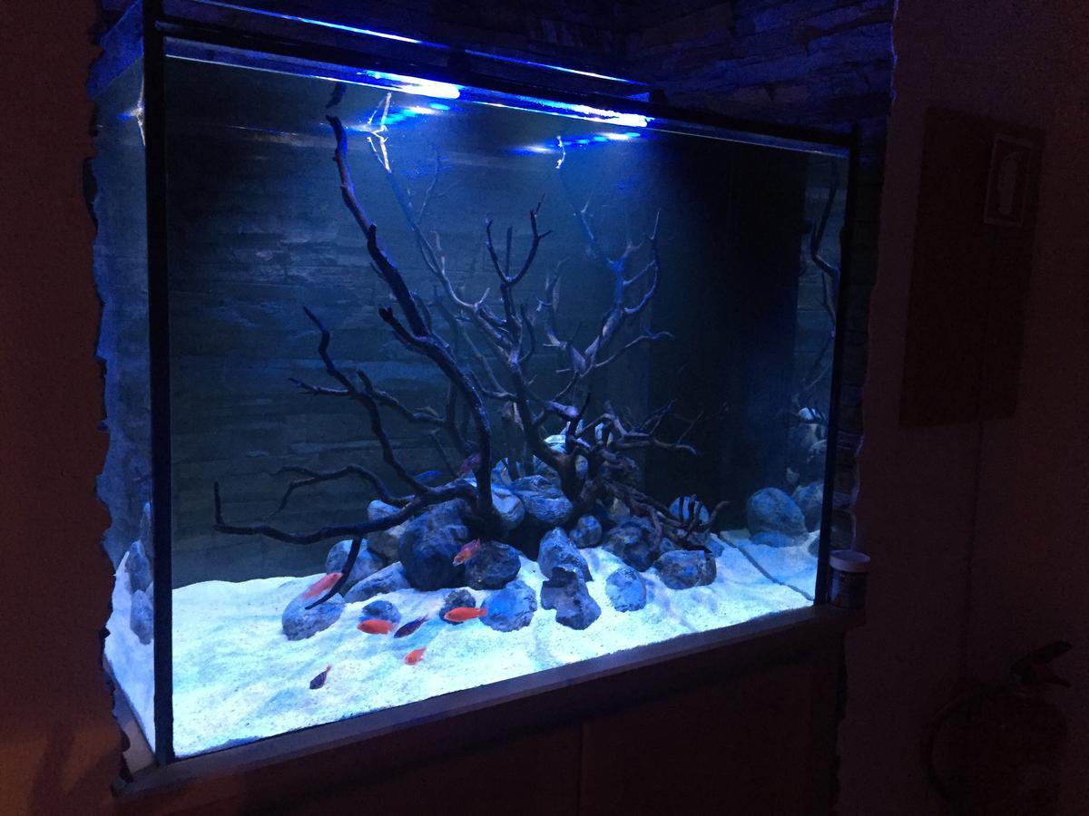 Apartamento Aquarium House Sesimbra Exterior foto